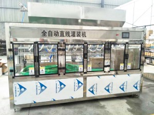 直線蜜桃视频网站APP